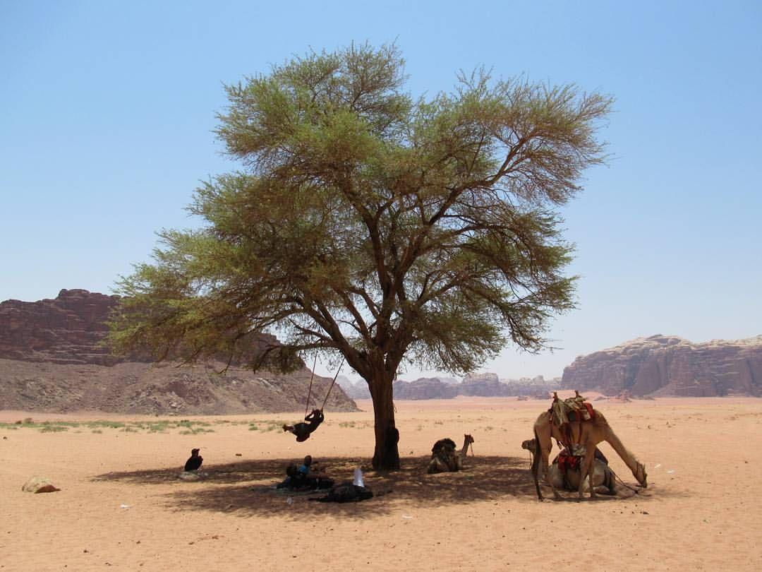 Climbers House In Wadi Rum Zewnętrze zdjęcie